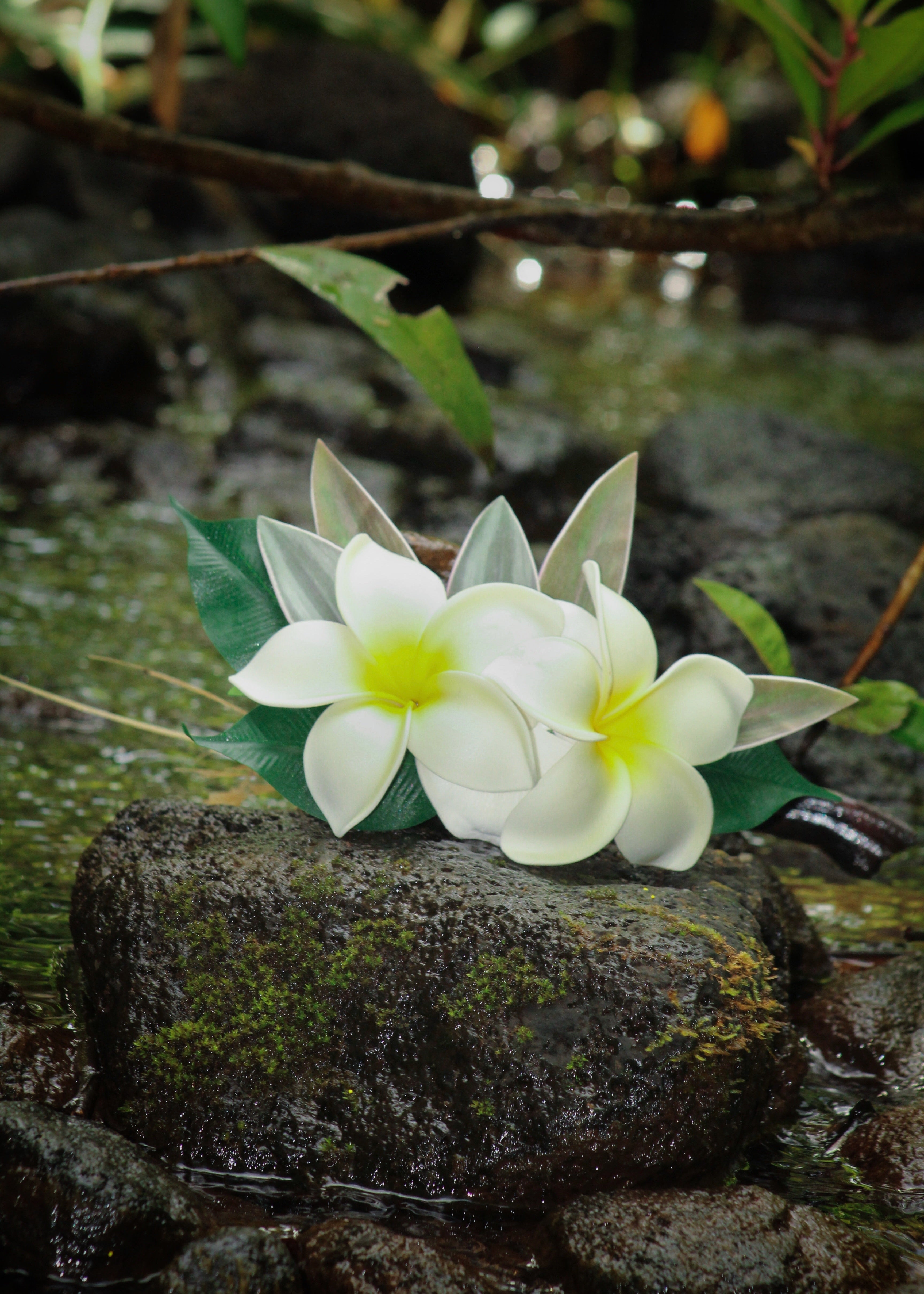 Hawaiian Pua Melia/plumeria Flower. Foam Flowers With Ti Leaves on