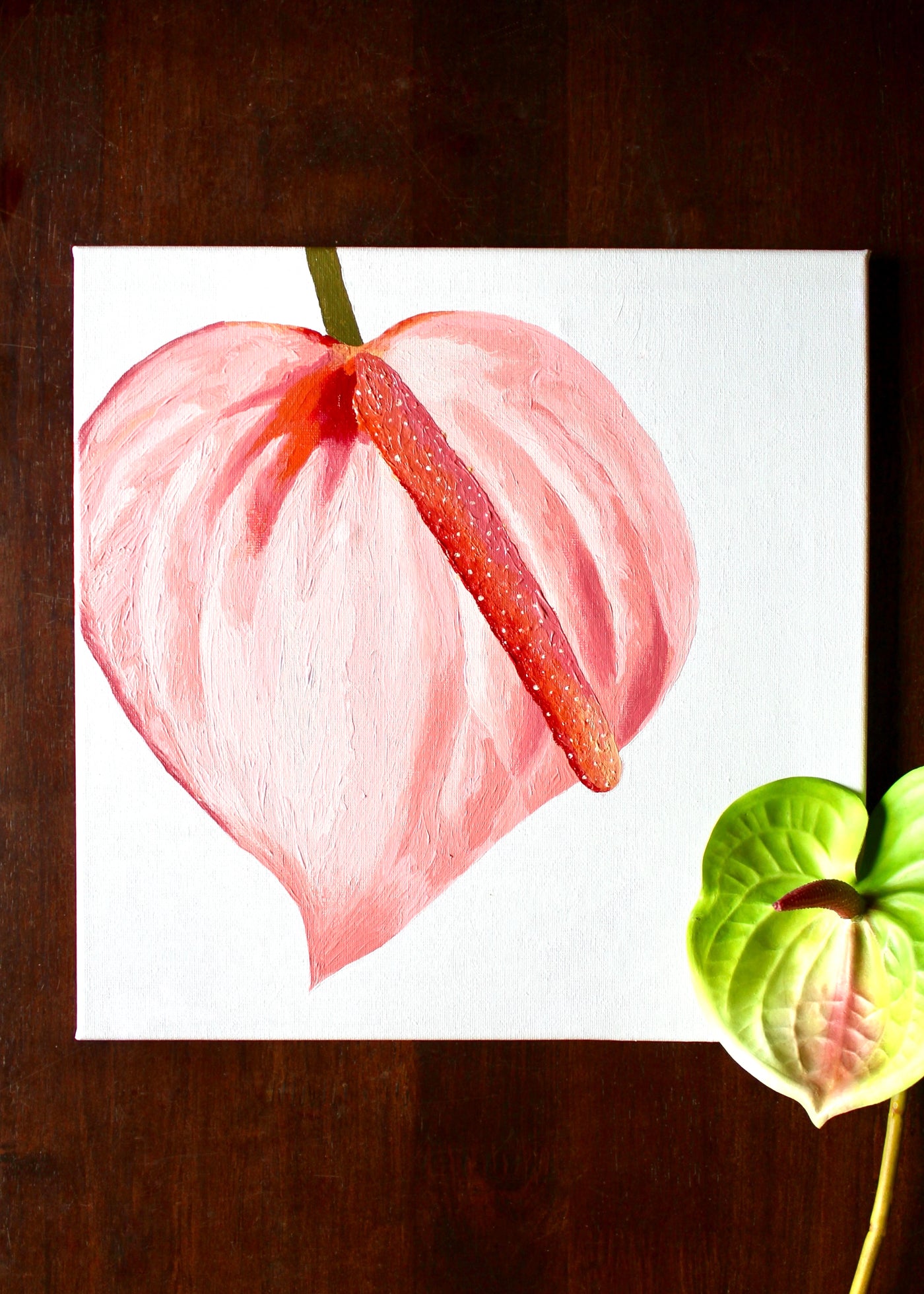 Pua Paint Kit - Anthurium 3