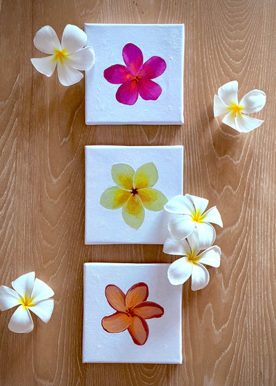 Mini Pua Paint Kit - Yellow Plumeria (preorder)