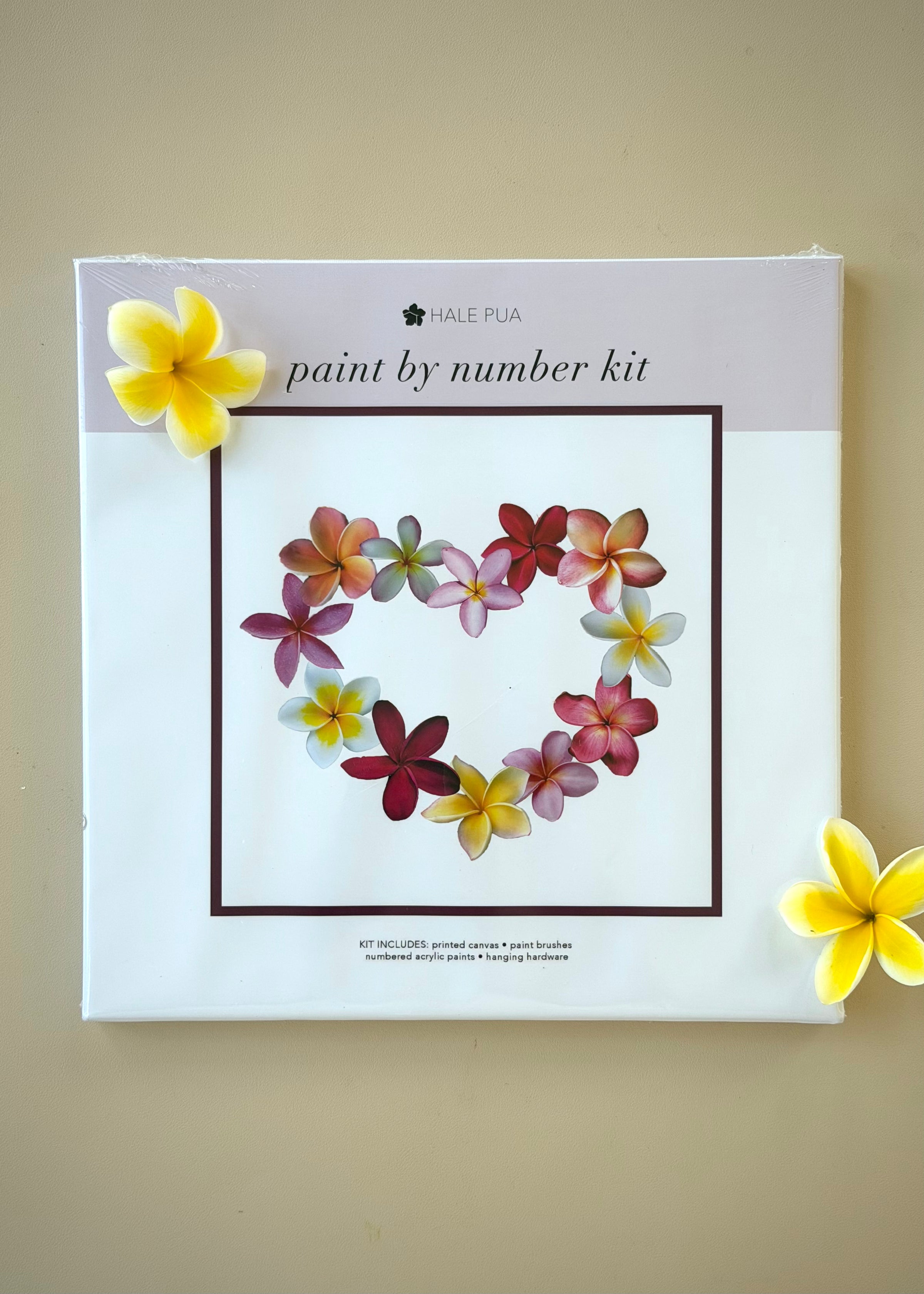 Pua Paint Kit - Plumeria 1