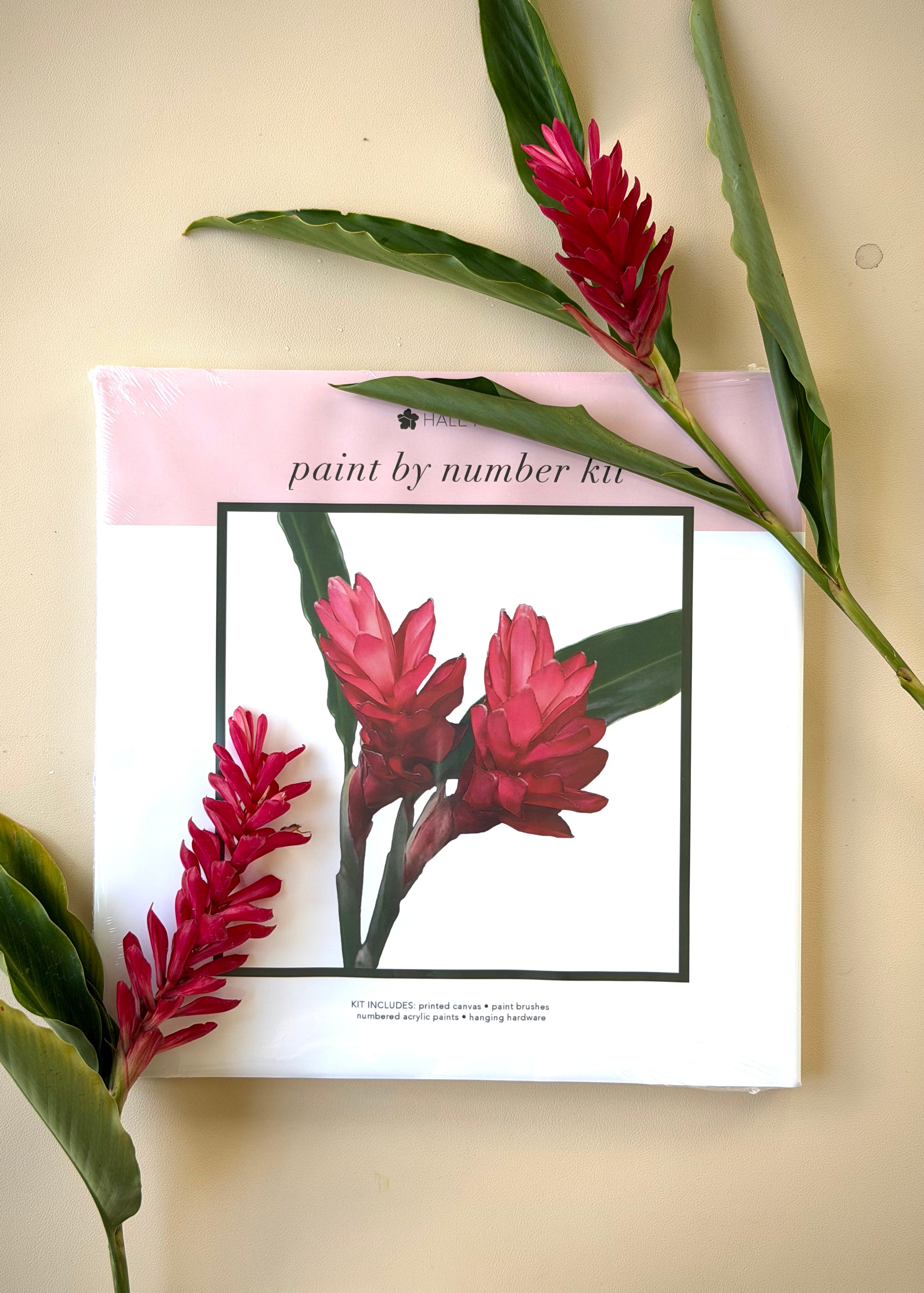 Pua Paint Kit - Awapuhi 1
