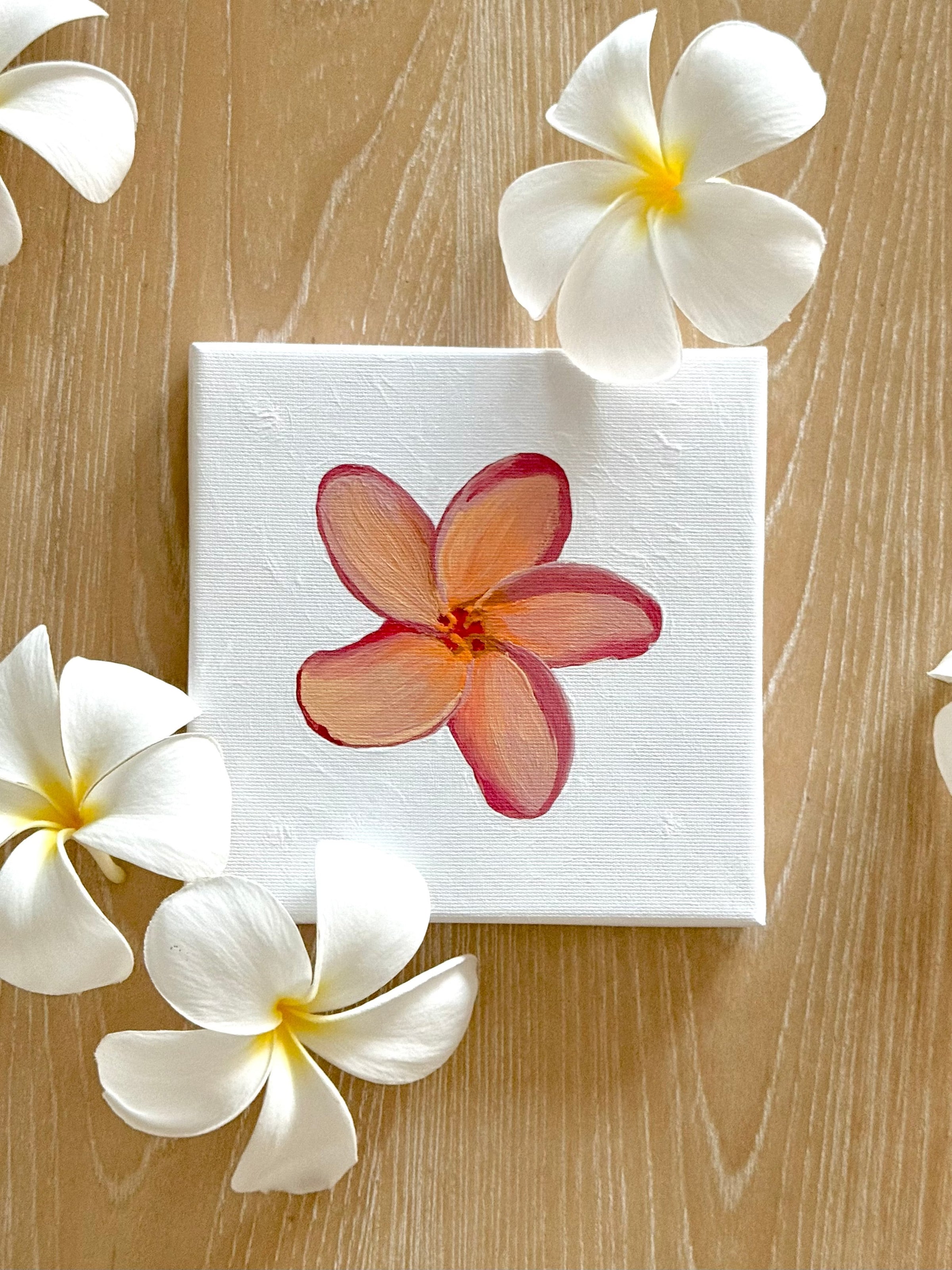 Mini Pua Paint Kit - Sherbet Plumeria