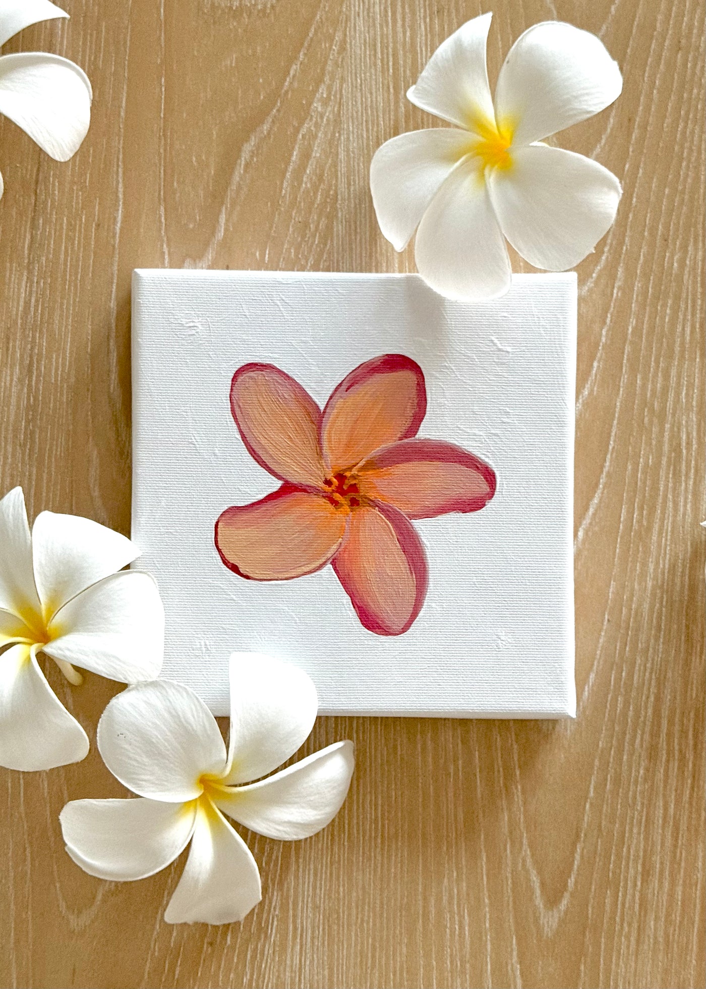 Mini Pua Paint Kit - Sherbet Plumeria (preorder)