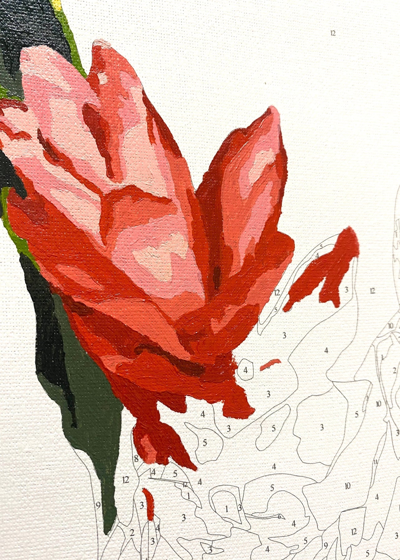 Pua Paint Kit - Plumeria 1