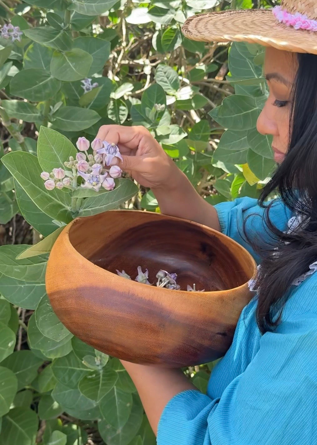 Pua Paint Kit - Lāʻi and Kalaunu