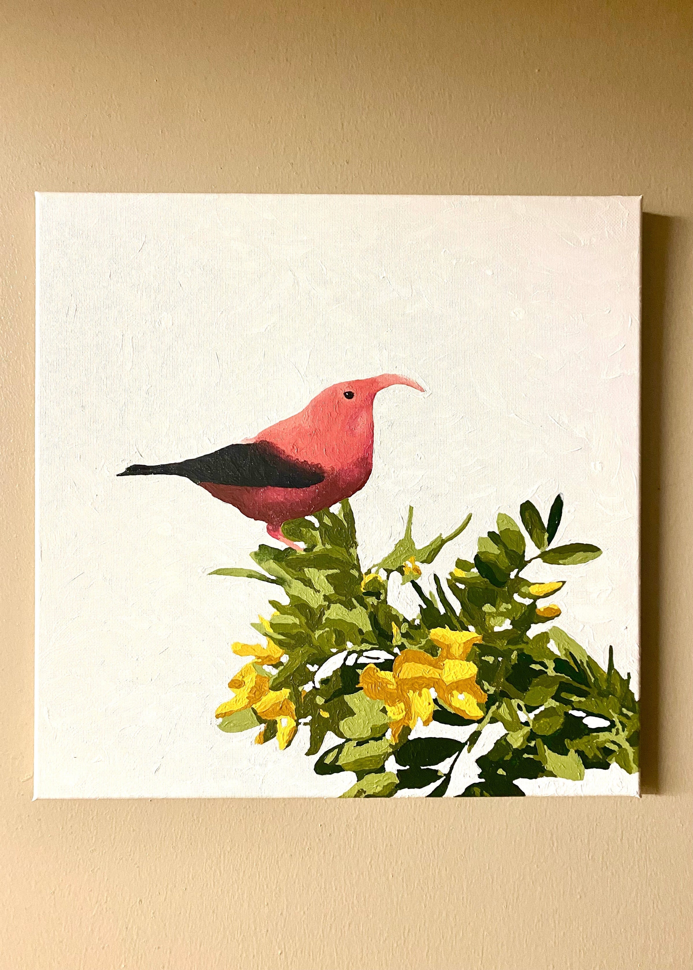 Pua Paint Kit - 'I'iwi