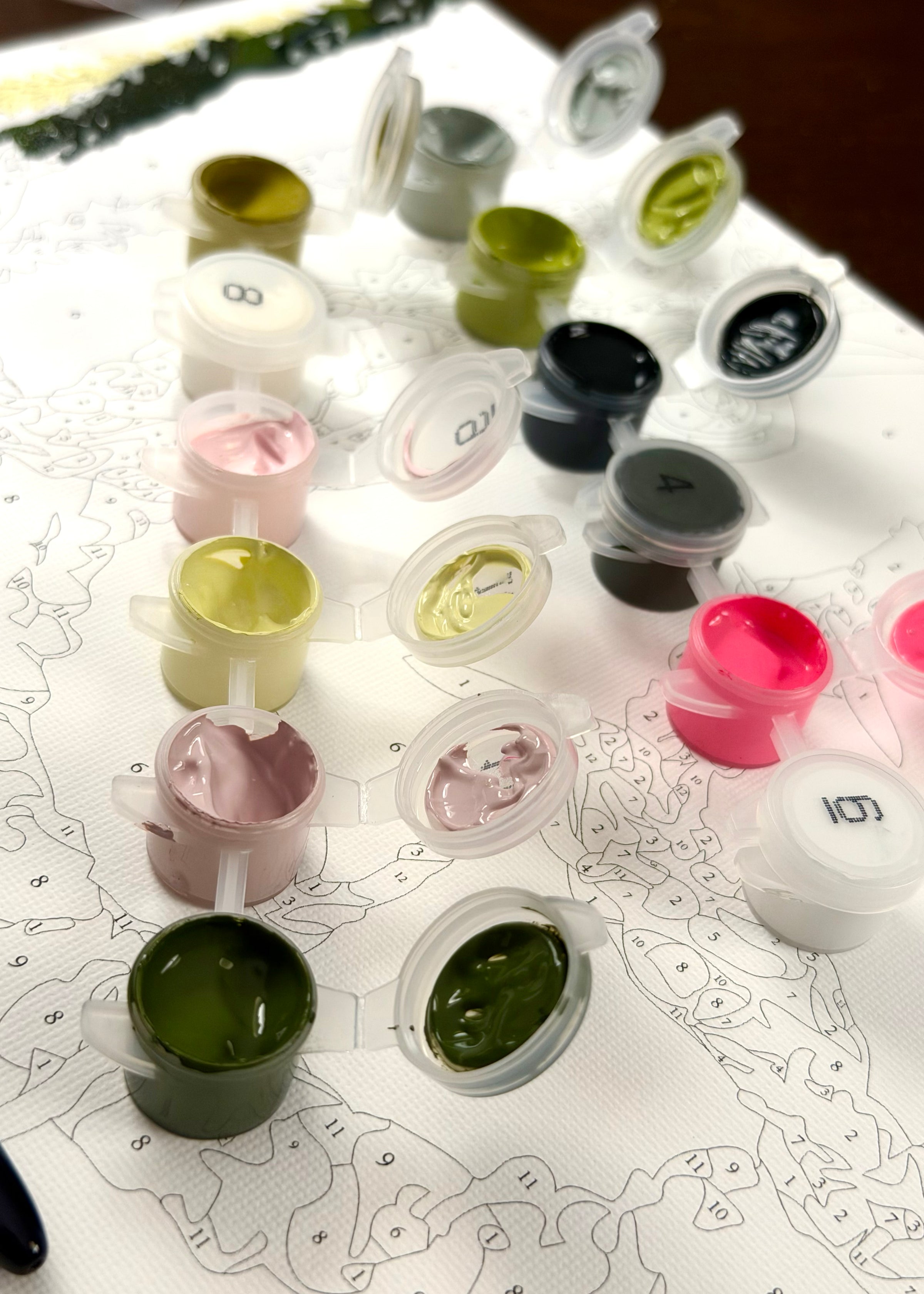Pua Paint Kit - Lei 3