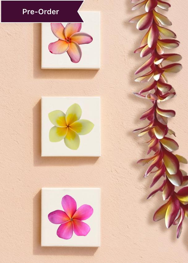 Pua Paint Kit - Mini Plumeria Kits (preorder)