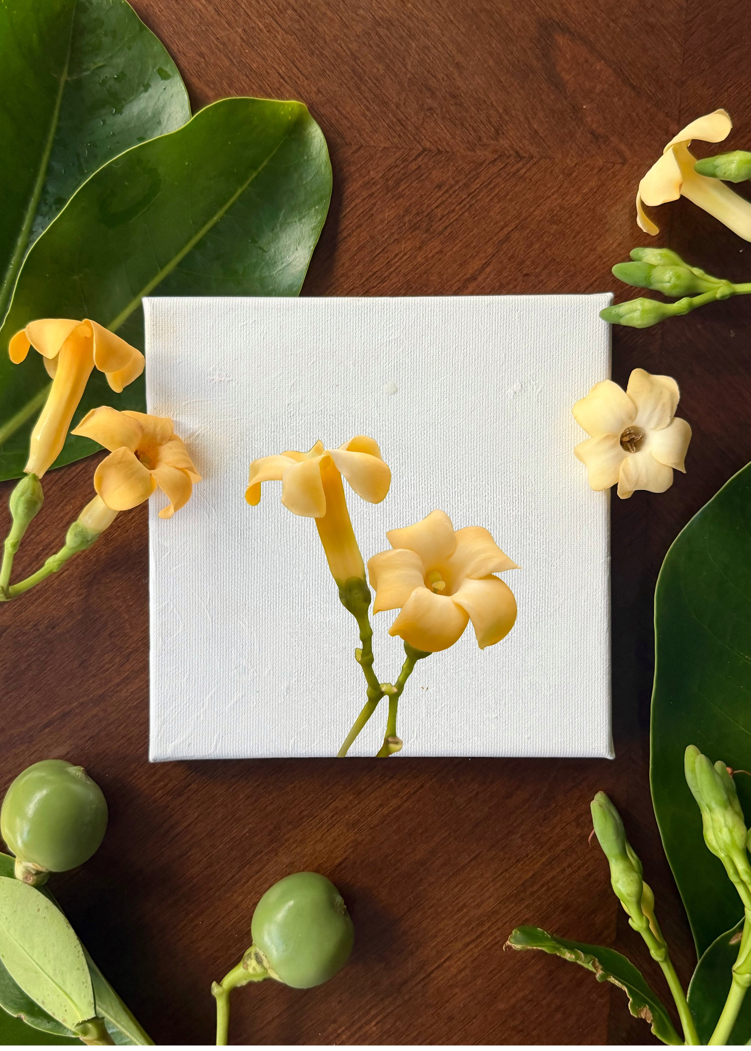 Mini Pua Paint Kit - Puakenikeni (Preorder)