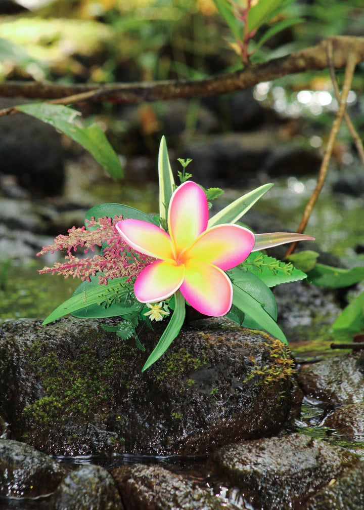 Pink Plumeria