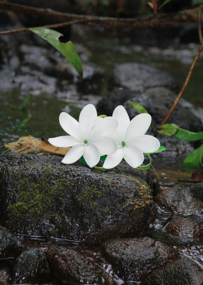 Tiare & Gardenia Lei Po'o Kit